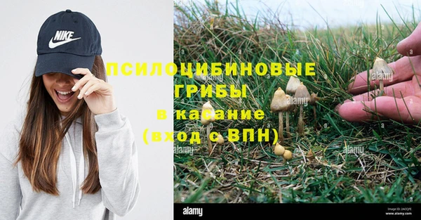 круглые Абаза