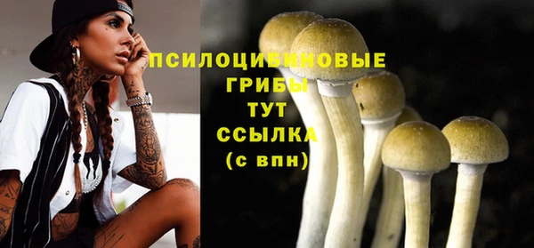 тгк Абинск