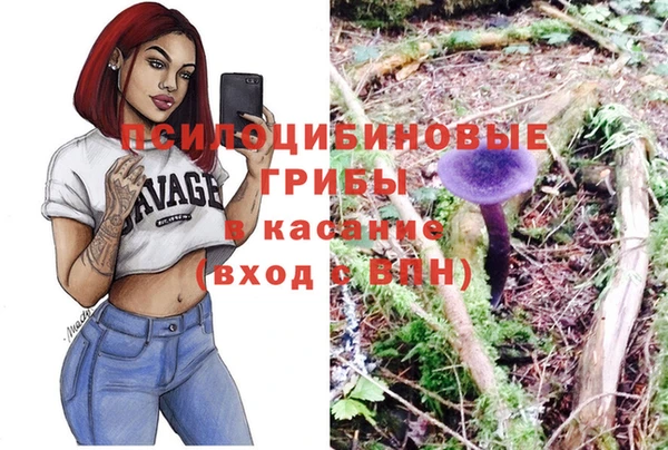 круглые Абаза