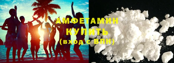 крисы Козельск