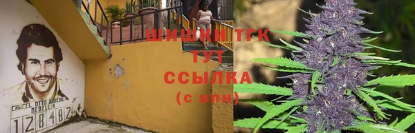 круглые Абаза